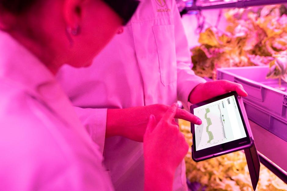 Scientists monitor crop growth in an indoor farm using digital tablets